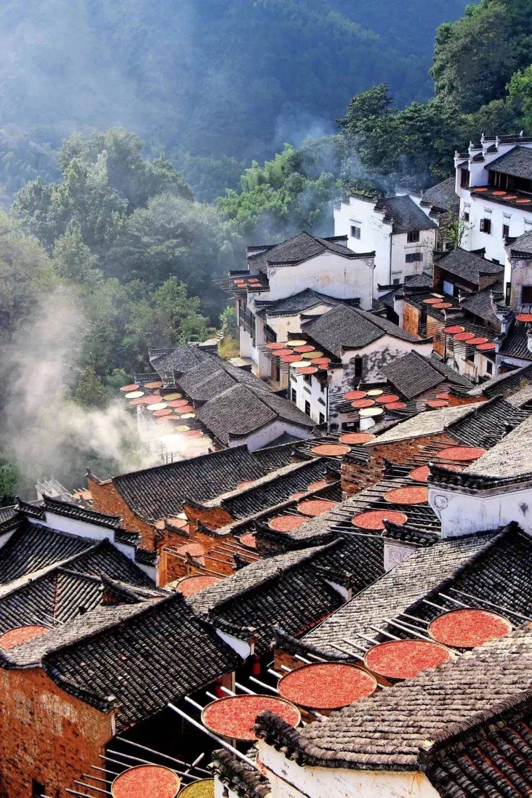 赣韵厨艺探秘,江西特色赣菜烹饪艺术深度指南