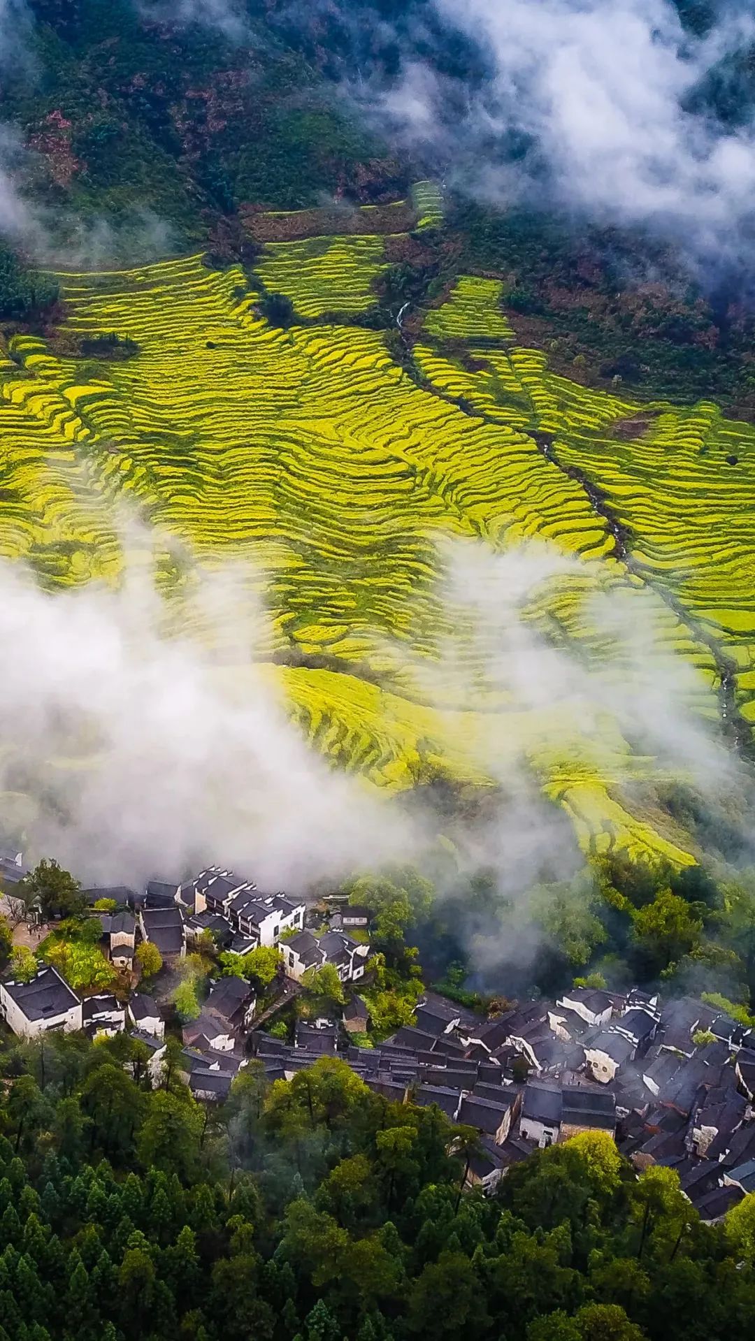 赣韵厨艺探秘,江西特色赣菜烹饪艺术深度指南