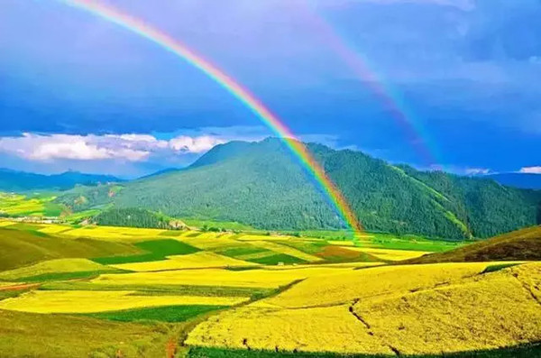 青海之旅，趣事友情闪耀高原日常