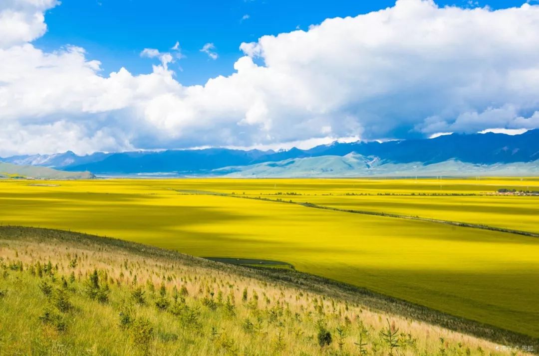 探寻青海之美,心之所向的旅程