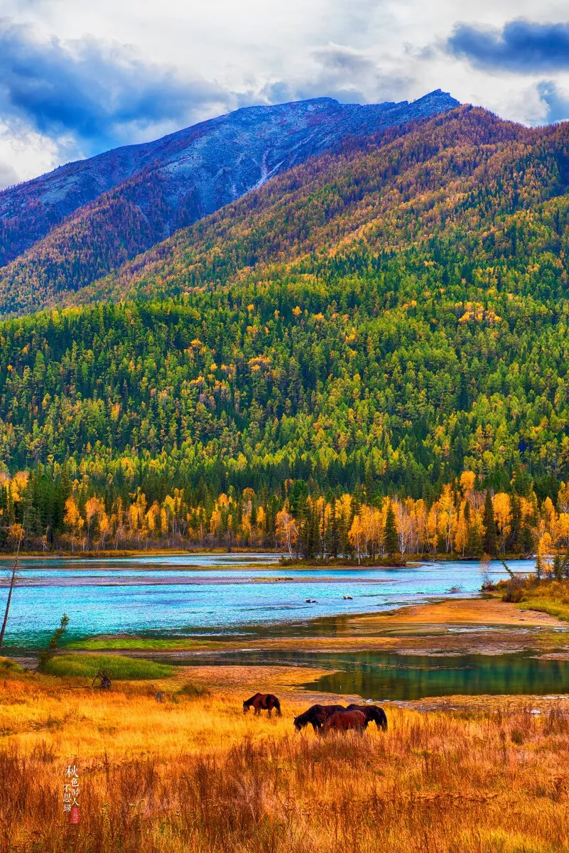 丝路明珠,新疆的历史长河璀璨篇章