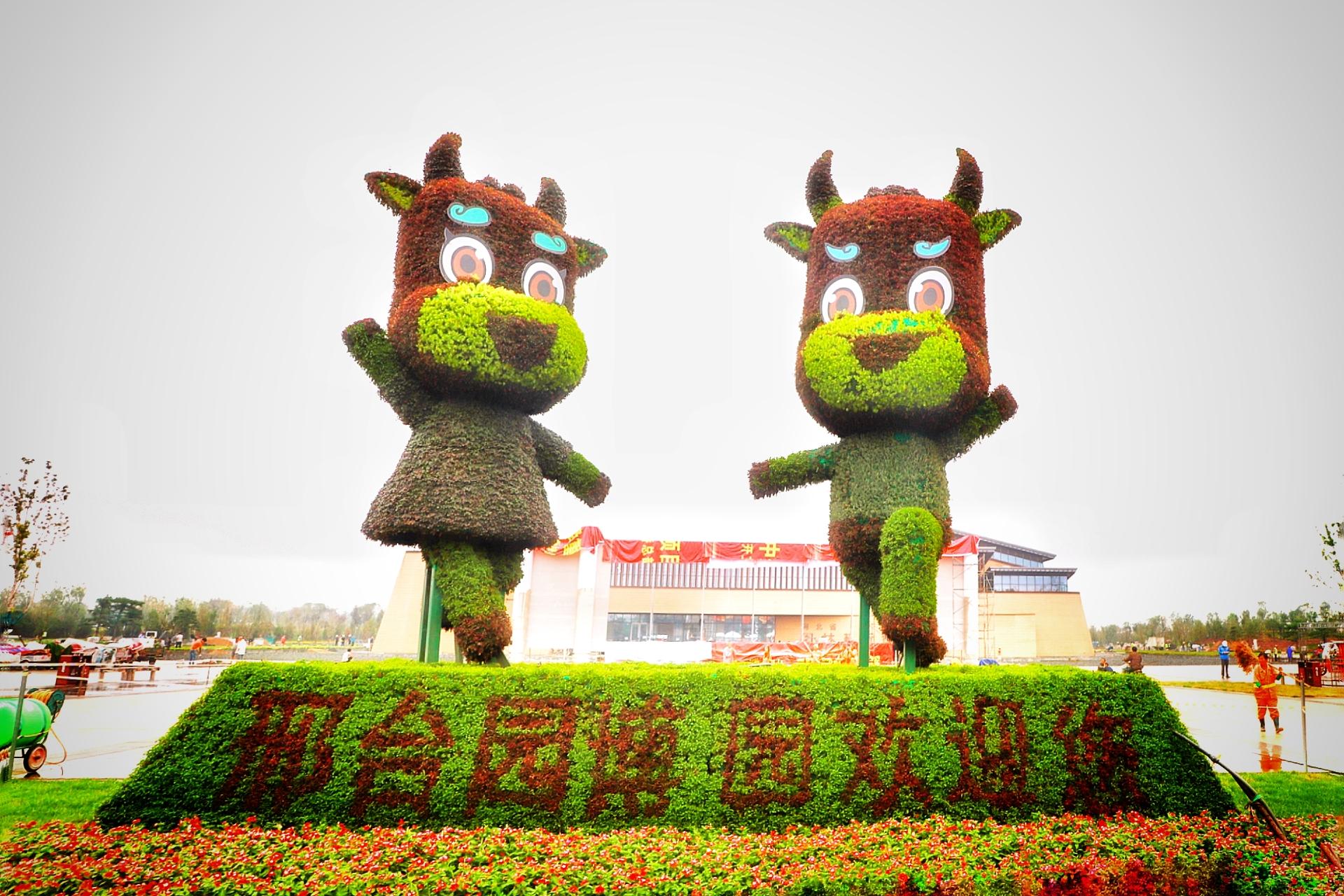 千年古城邢台，时光穿越的邂逅之旅